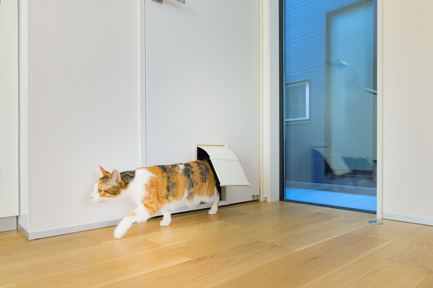 エースホーム 【平屋/書斎/バリアフリー】猫と暮らす　ガレージのある平家の建築実例画像6