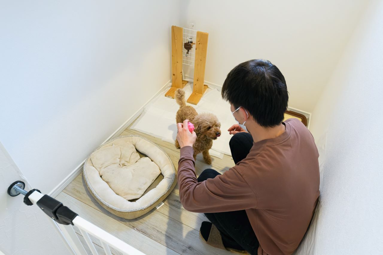 エースホーム 1000万円台で建てる30坪。家族にぴったり平屋のおうちの建築実例画像5