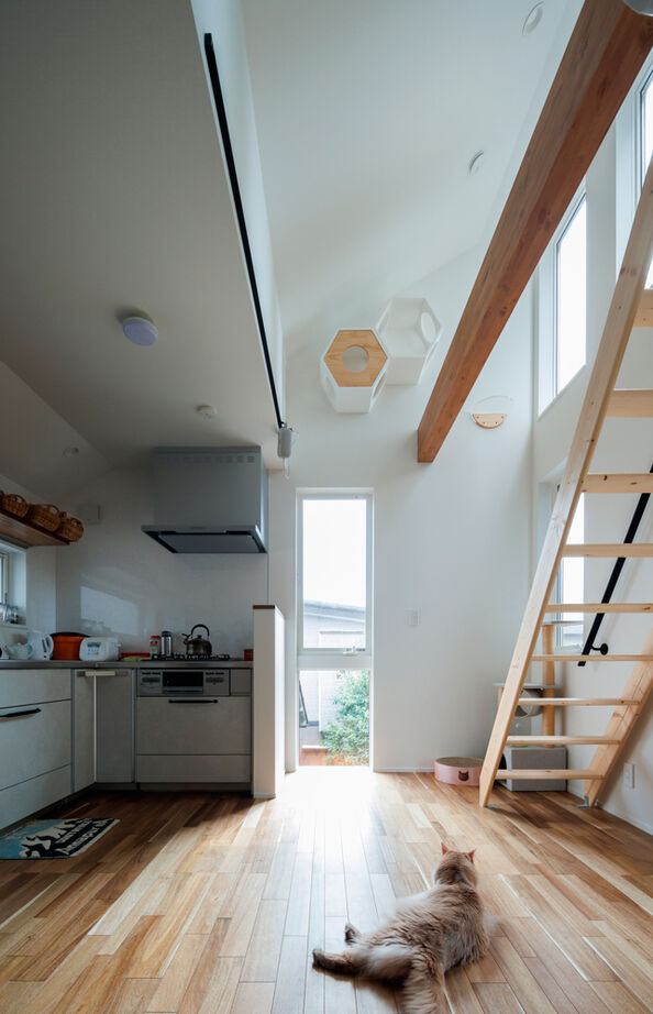 TAINN DESIGN　一級建築士事務所 【19.5坪/狭小/ペット住宅/間取り図あり】愛猫も大満足！美しい借景を楽しめる２階リビングの建築実例画像4