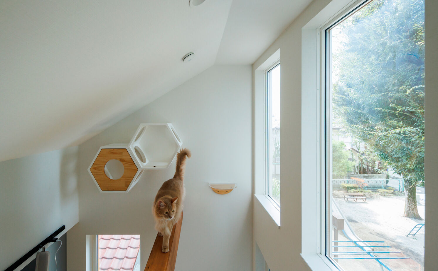 TAINN DESIGN　一級建築士事務所 【19.5坪/狭小/ペット住宅/間取り図あり】愛猫も大満足！美しい借景を楽しめる２階リビングの建築実例画像5