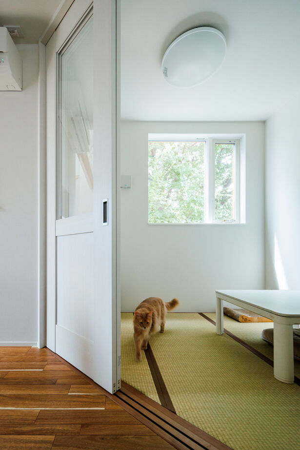 TAINN DESIGN　一級建築士事務所 【19.5坪/狭小/ペット住宅/間取り図あり】愛猫も大満足！美しい借景を楽しめる２階リビングの建築実例画像6