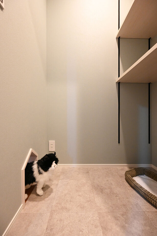 ユートピア建設 【西尾市｜29坪の平屋】スキップフロアで空間を上下に活用！ペットと快適に暮らせるガレージ付き平屋の建築実例画像6