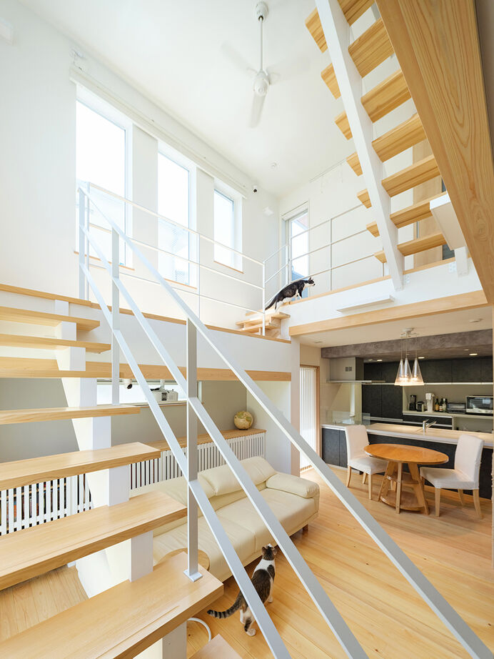 小嶋工務店 TOKYO WOOD 【間取り図あり/30坪台/ペット】まるで巨大なキャットタワー！自由設計ならではの、遊び心ある住まいにの建築実例画像1