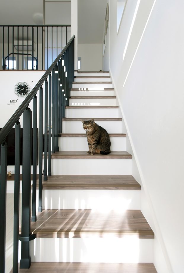 二重断熱の家　ネスト 【2000万円台/間取り図あり/ZEH/ペット/平塚市】夏も冬も快適さが違う。高性能＆コスパの高さに大満足の家の建築実例画像8