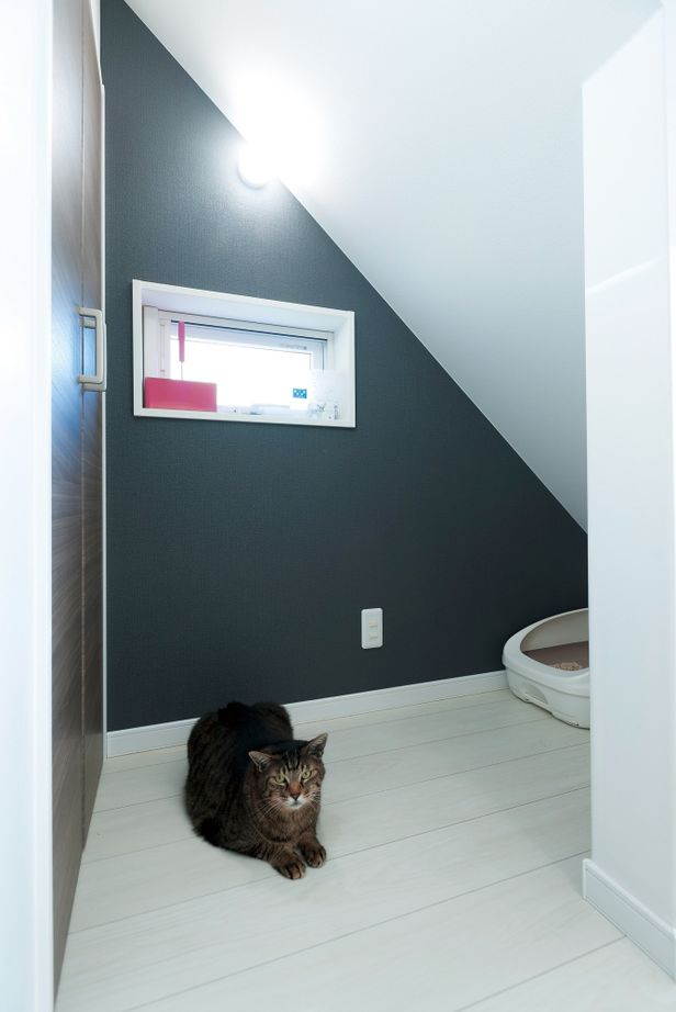 二重断熱の家　ネスト 【2000万円台/間取り図あり/ZEH/ペット/平塚市】夏も冬も快適さが違う。高性能＆コスパの高さに大満足の家の建築実例画像9