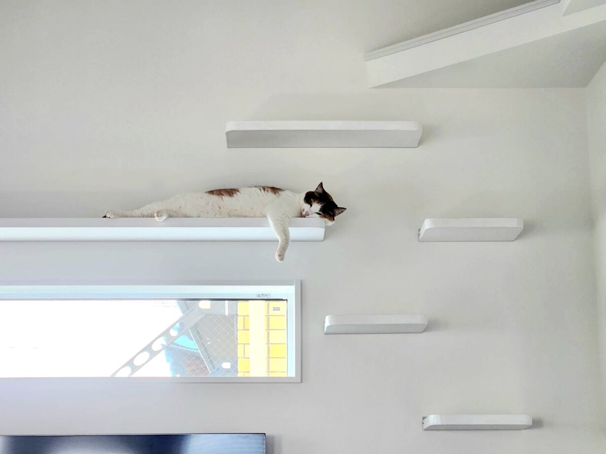 二重断熱の家　ネスト 【2000万円台/ZEH/ペット】愛猫と一緒に楽しく暮らせる、2階LDKの夏涼しく冬暖かいエコで快適な住まいの建築実例画像2