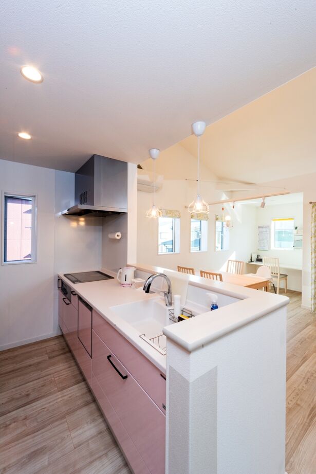 二重断熱の家　ネスト 【2000万円台/ZEH/ペット】愛猫と一緒に楽しく暮らせる、2階LDKの夏涼しく冬暖かいエコで快適な住まいの建築実例画像8