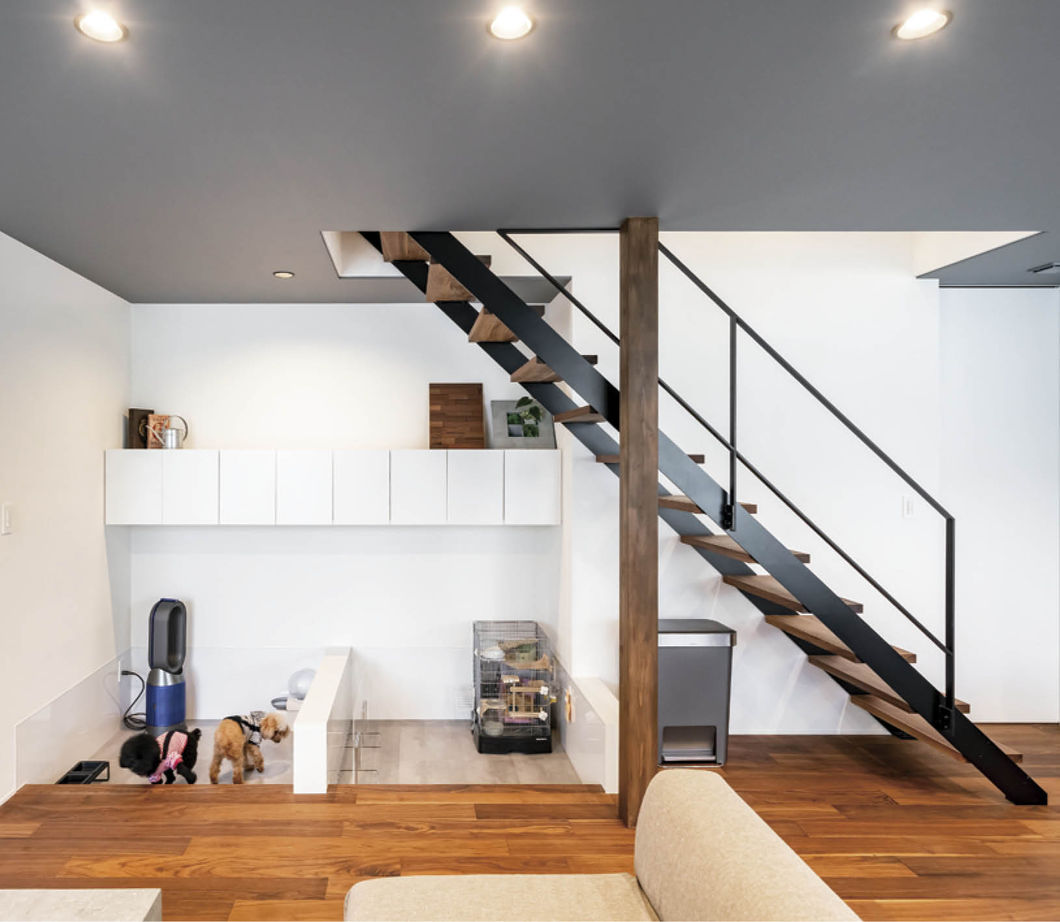 アイ工務店 【滋賀県/42坪/高気密・高断熱】天井に届く窓で開放的なLDKに 愛犬と一緒に心地よく暮らす家の建築実例画像3