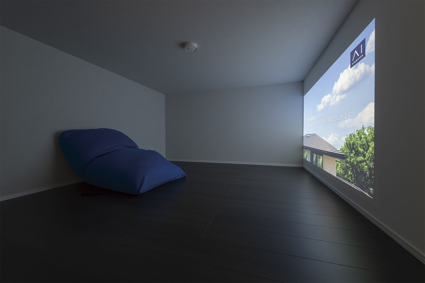 アイ工務店 【延床31.7坪／スキップフロア／動線】大開口＋ハーフ吹抜の開放感。高い性能が日々の暮らしを快適にの建築実例画像10