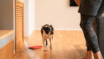 スローライフ住宅設計 【1900万円台／UA値0.27／C値0.1／耐震等級3】居心地の良さを追求したこだわりとセンスが光る平屋の建築実例画像6