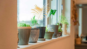 スローライフ住宅設計 【1900万円台／UA値0.27／C値0.1／耐震等級3】居心地の良さを追求したこだわりとセンスが光る平屋の建築実例画像9