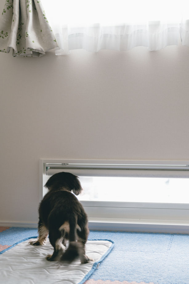 コンフォートハウス 憧れの平屋と暮らしやすさ。思い描いた理想の家には今日もおひさまのぬくもりが満ちている。の建築実例画像3