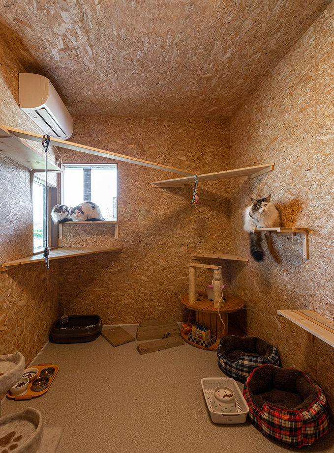 ヤマダホームズ 薪ストーブのあるリビングで、愛車を眺めながら仲間と過ごす夢を実現の建築実例画像8