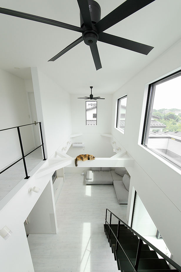 ヤマダホームズ 【3000万円台・間取り図あり】視線を気にせず人もペットものびのび。外に閉じ、内に開く家の建築実例画像3