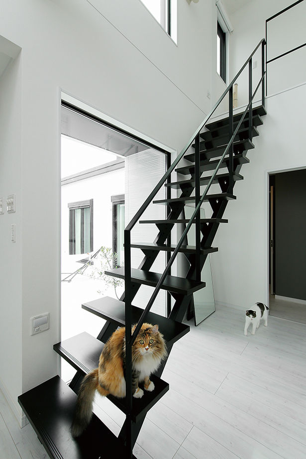 ヤマダホームズ 【3000万円台・間取り図あり】視線を気にせず人もペットものびのび。外に閉じ、内に開く家の建築実例画像5