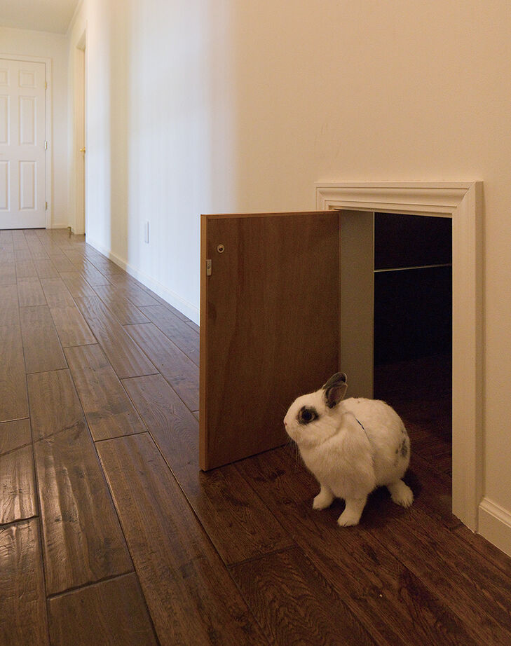 アーバンホーム 【6000万円台/ガレージ/間取り図】大きな中庭のある南仏オールドプロヴァンスのお城のようなかわいいお家の建築実例画像4