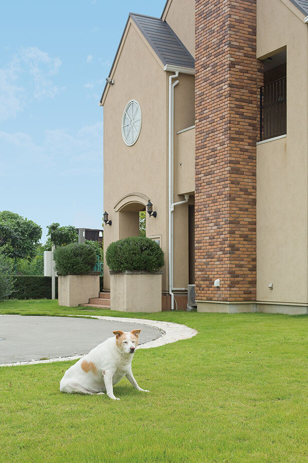 アーバンホーム 【6000万円台/ガレージ/間取り図】大きな中庭のある南仏オールドプロヴァンスのお城のようなかわいいお家の建築実例画像8