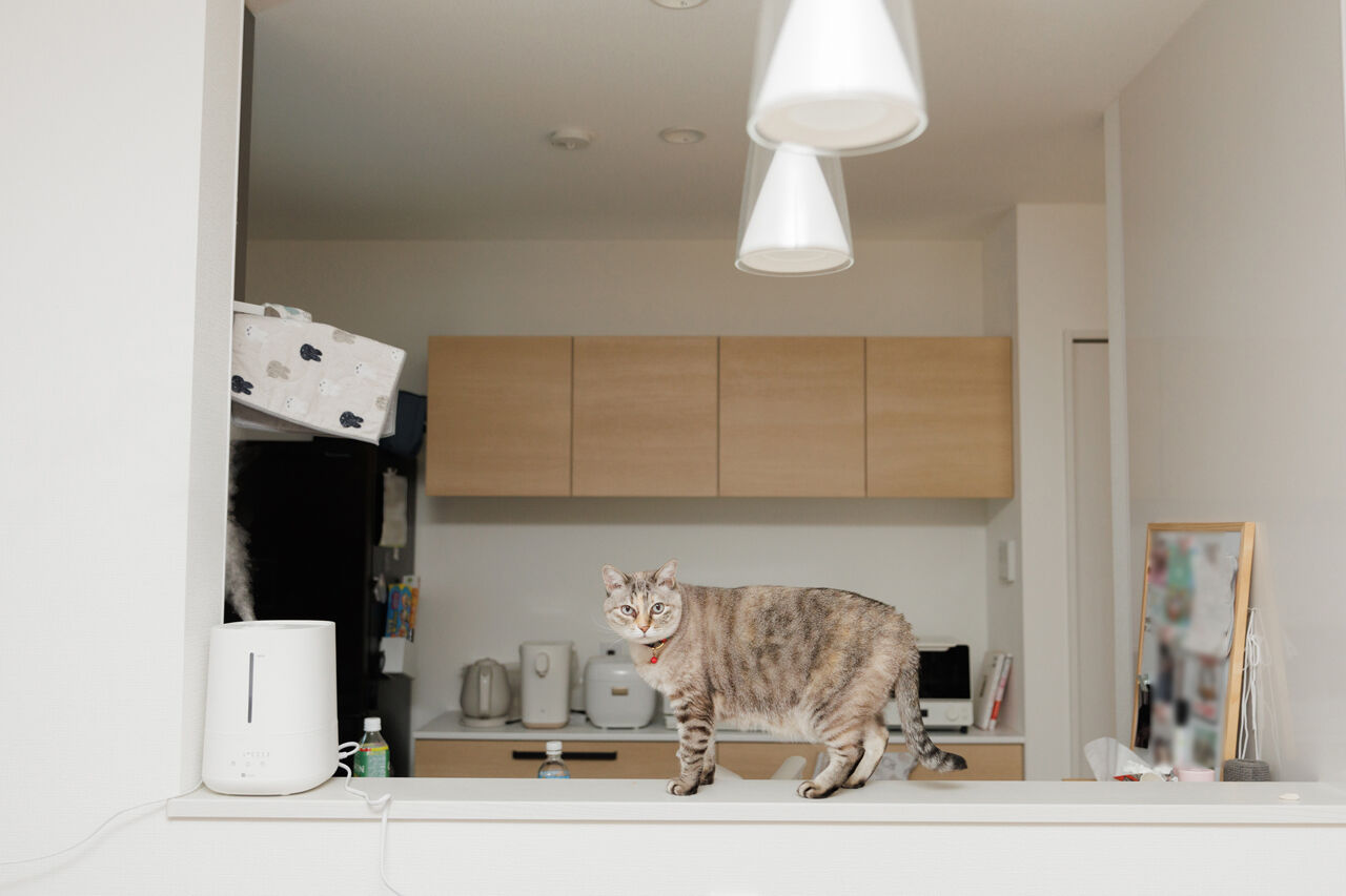 クレスト・ホーム 【トリプル断熱工法/ZEH Oriented住宅/免震装置】２人と３匹が、快適に仲良く暮らす高性能住宅の建築実例画像6