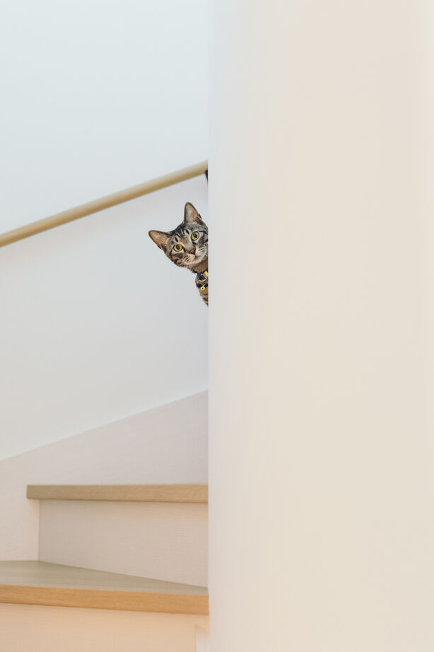 クレスト・ホーム 【トリプル断熱工法/ZEH Oriented住宅/免震装置】２人と３匹が、快適に仲良く暮らす高性能住宅の建築実例画像9