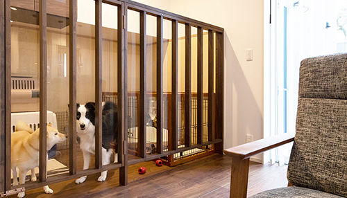 ワイケイホーム 【広々ドッグラン】ペットと住まう、吹き抜けのある家の建築実例画像6