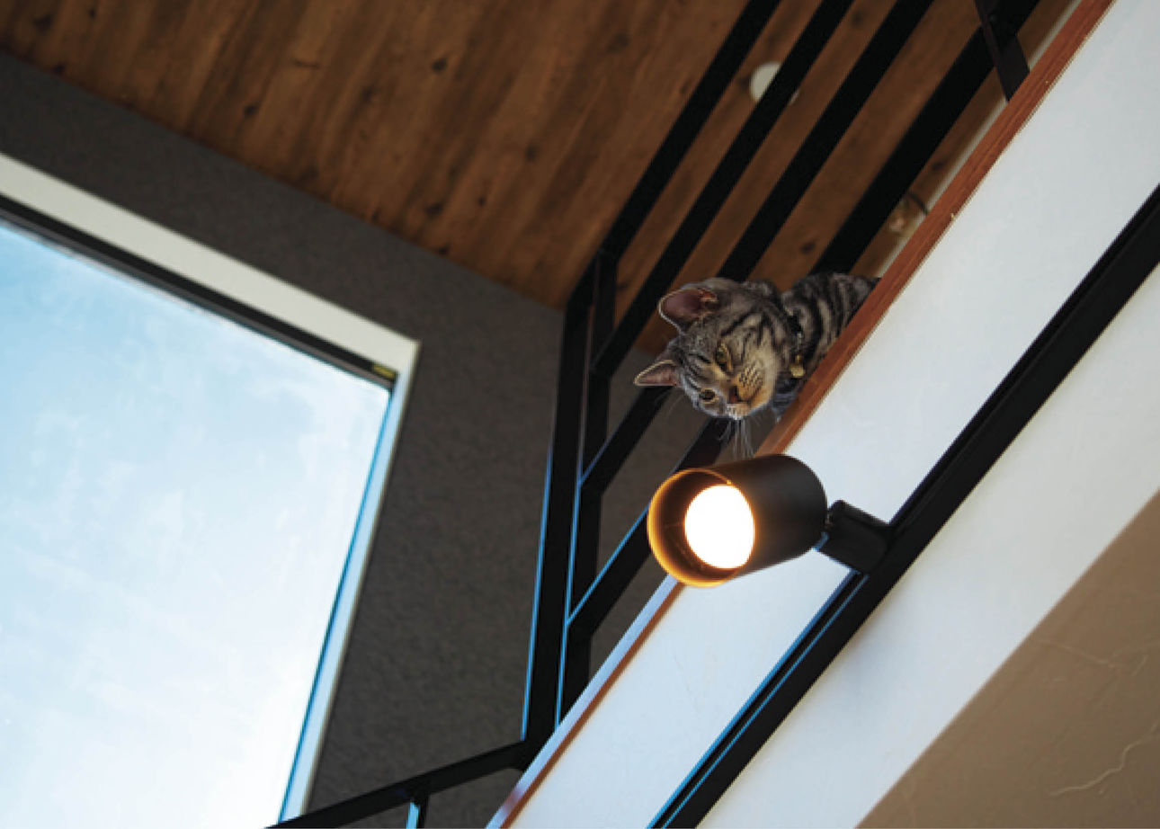 ユーロプランニング 【2000～2500万円/間取り有】最初の一歩で広がる吹抜大空間 惜しみない開放感を愉しむ邸の建築実例画像5