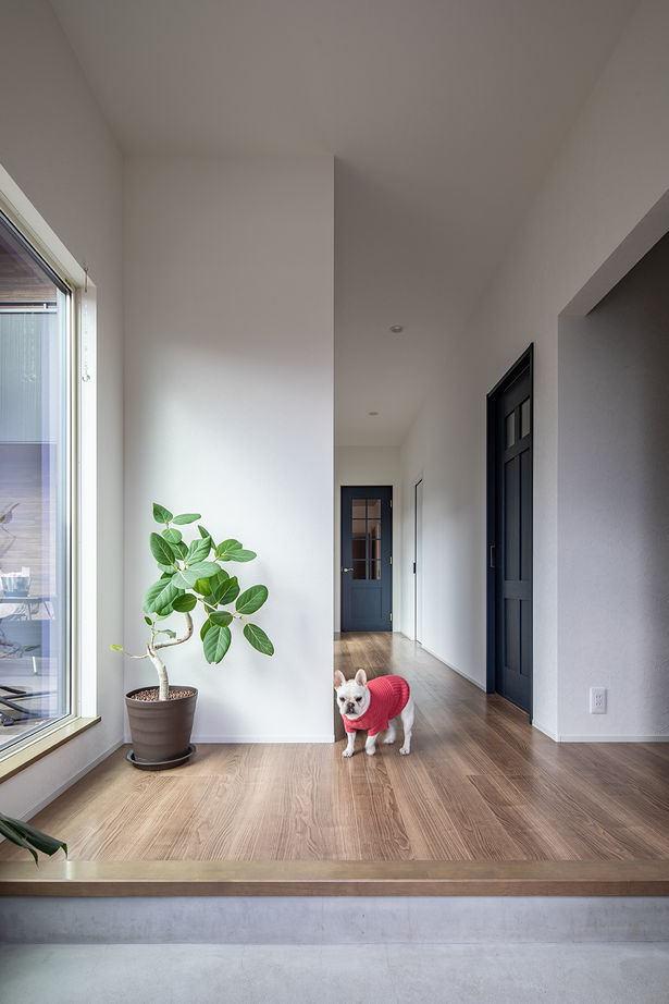 日興ホーム 【2,000万円台/中庭デッキ/148.24m2/間取り図有】リビングと中庭が一体化し開放感に満ちた家の建築実例画像7