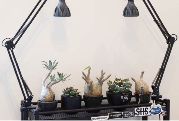 日興ホーム 【2,000万円台/狭小地/土地27.2坪/間取り図有】狭小地でもゆとりと採光に妥協しない注文住宅の醍醐味の建築実例画像10