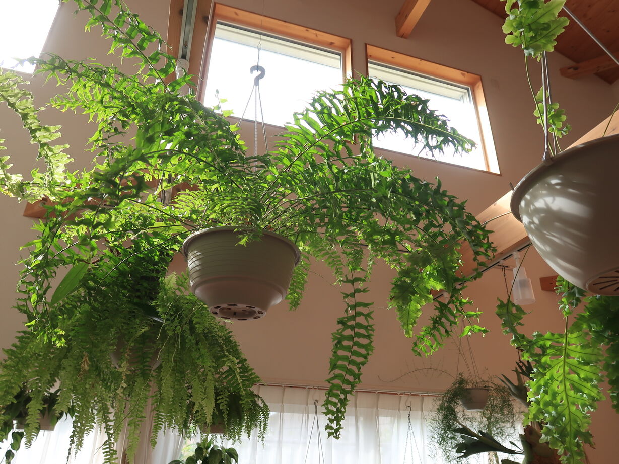 大和屋 30坪　趣味も家事も暮らしを満たす快適な家の建築実例画像7