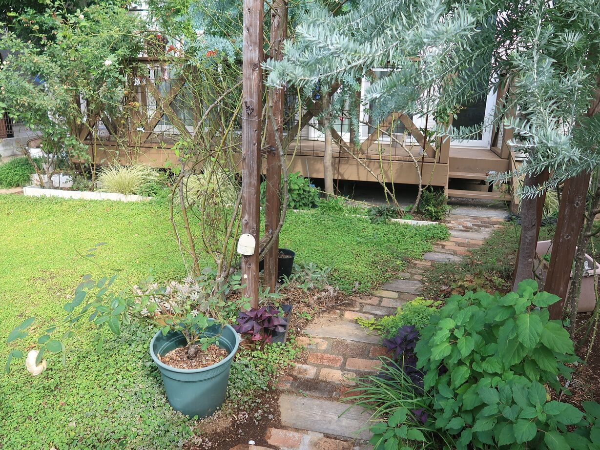 大和屋 30坪　趣味も家事も暮らしを満たす快適な家の建築実例画像8