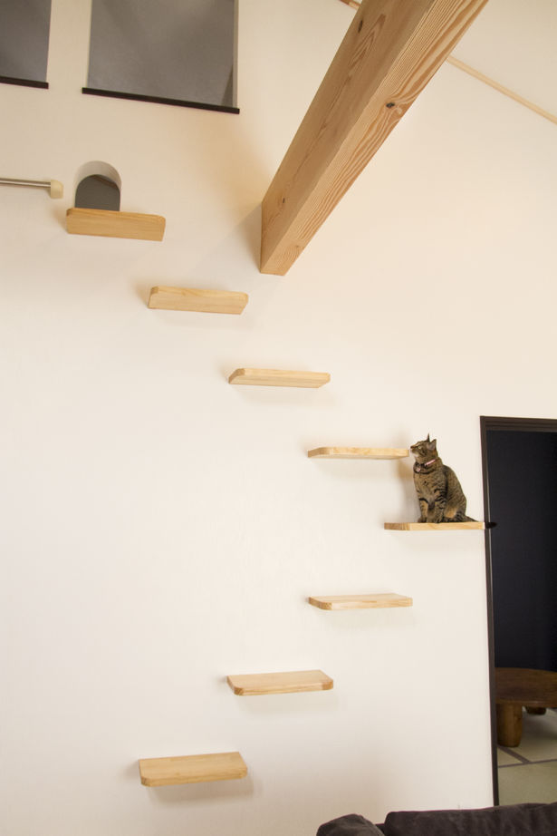 昭和住宅 【2975万円】丸太梁は、愛猫のお気に入り。キャットウォークが縦に広がる開放的な平屋の建築実例画像4