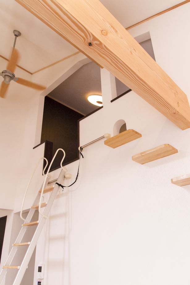 昭和住宅 【2975万円】丸太梁は、愛猫のお気に入り。キャットウォークが縦に広がる開放的な平屋の建築実例画像6