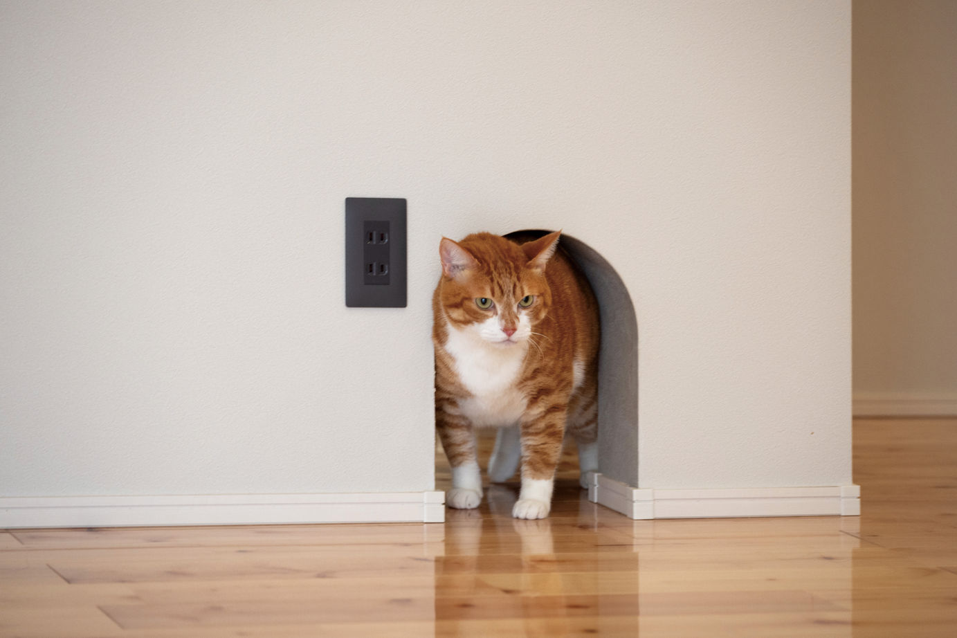 昭和住宅 【2490万円/北九州市/平屋/間取図あり】オープンキッチンからリビング・和室まで見渡せる家族団らんの家の建築実例画像9