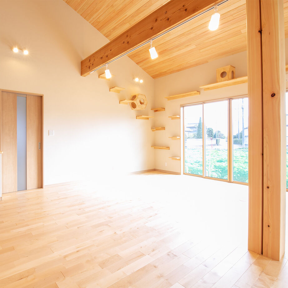 SAMATA 【36.7坪/2665万円】和の趣と猫への想いが詰まった住まいの建築実例画像5