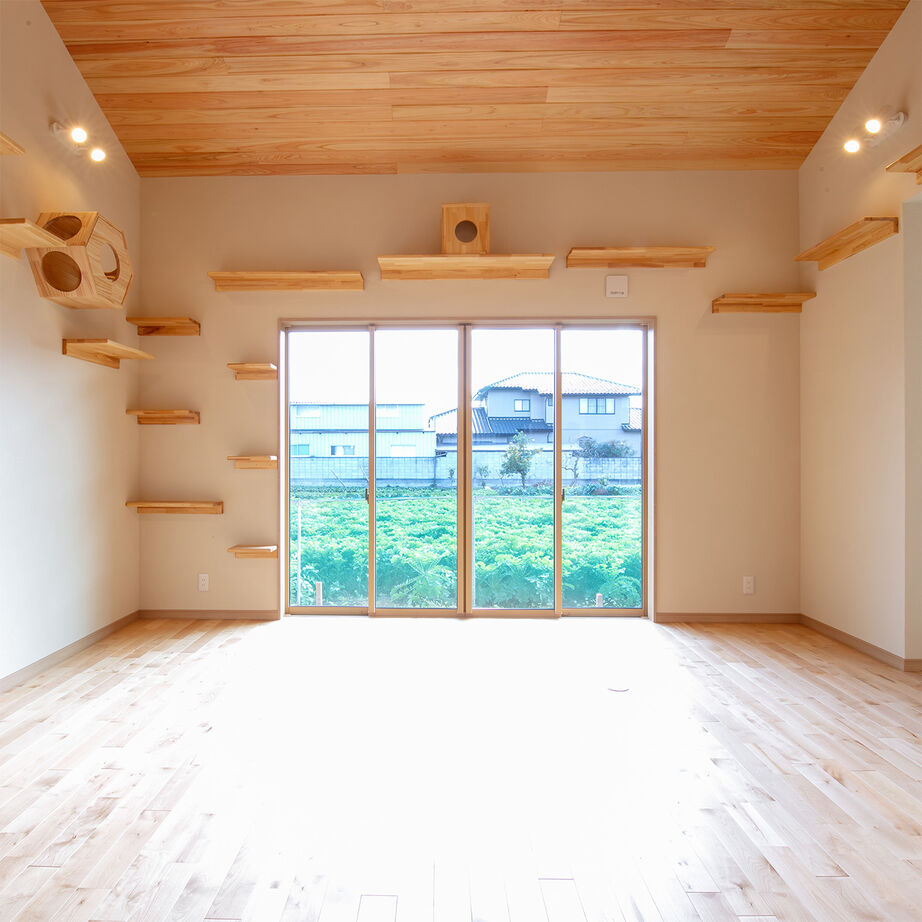 SAMATA 【36.7坪/2665万円】和の趣と猫への想いが詰まった住まいの建築実例画像6