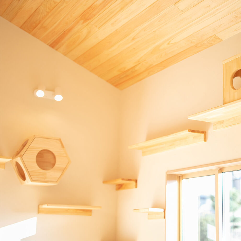 SAMATA 【36.7坪/2665万円】和の趣と猫への想いが詰まった住まいの建築実例画像7