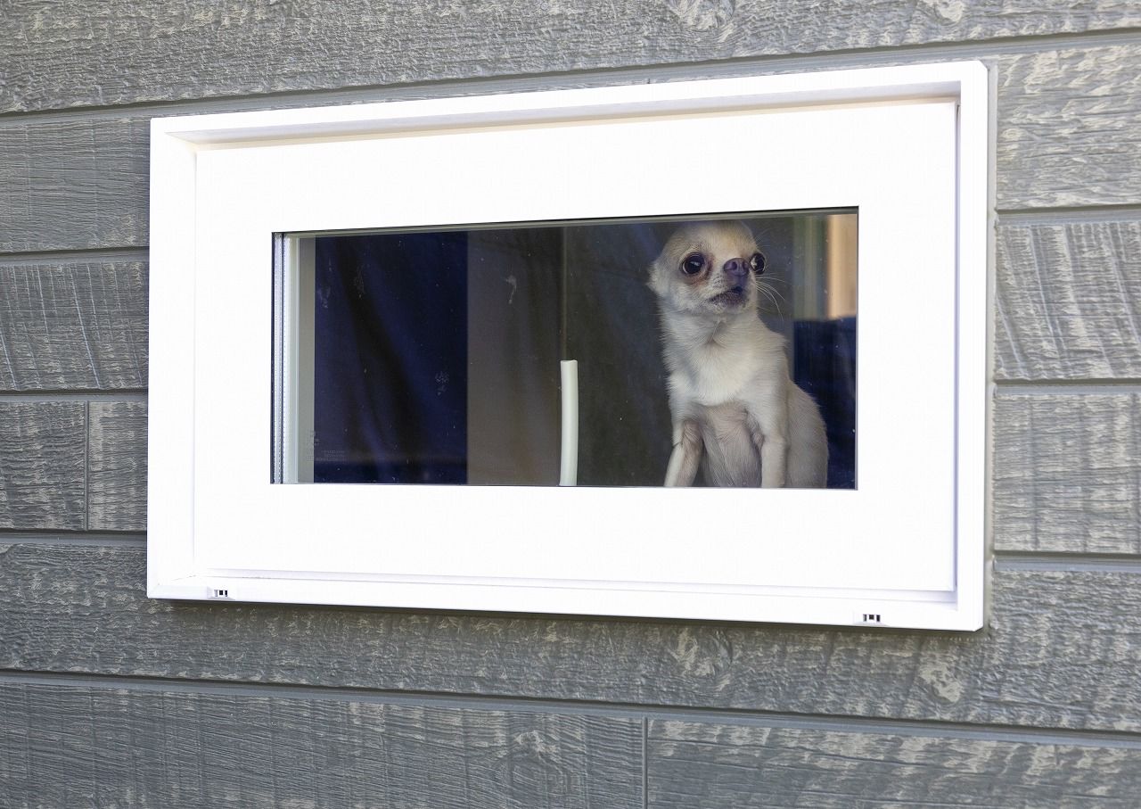 アゲルホーム ワンちゃんと楽しく暮らすアイデアがいっぱい。予算内で夢を叶えたカリフォルニアスタイルの家の建築実例画像10