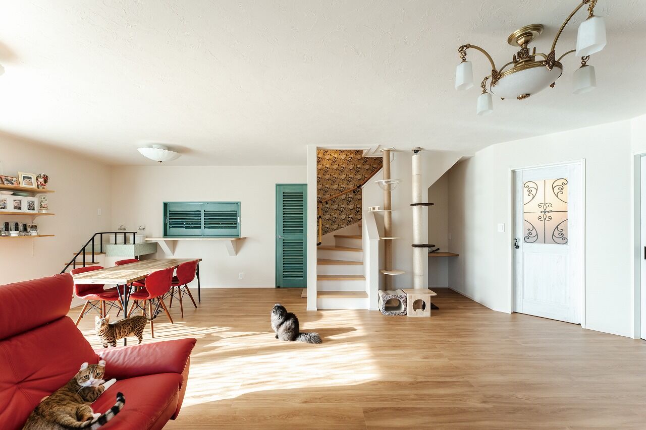 アゲルホーム 【趣味／ペット／サウナ／独立キッチン】趣味を楽しみ、愛猫たちも喜ぶ南欧デザインの家の建築実例画像2