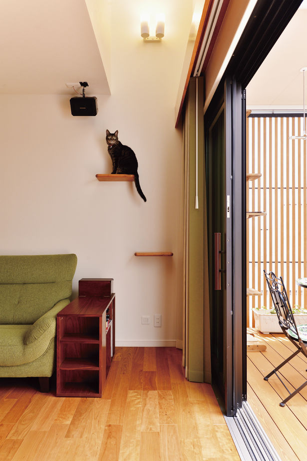 大原建設（パナソニックビルダーズグループ） 【プライバシーを守りながら外と繋がる中庭のある家/間取り有】2匹の愛猫と一緒にゆったりくつろぐの建築実例画像6
