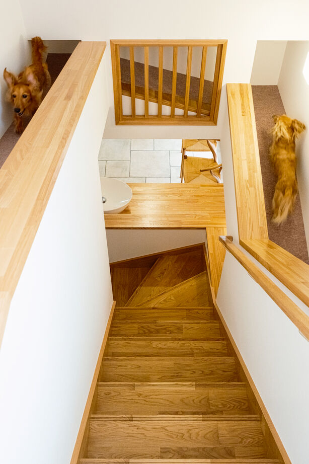 大原建設（パナソニックビルダーズグループ） 【大好きな愛犬のための家】愛犬のために2階までスロープを設置。設計士の伴走で実現した唯一無二の家の建築実例画像3