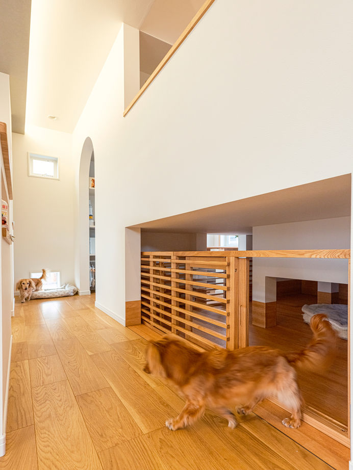 大原建設（パナソニックビルダーズグループ） 【大好きな愛犬のための家】愛犬のために2階までスロープを設置。設計士の伴走で実現した唯一無二の家の建築実例画像7