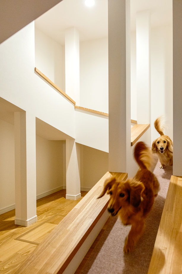 大原建設（パナソニックビルダーズグループ） 【大好きな愛犬のための家】愛犬のために2階までスロープを設置。設計士の伴走で実現した唯一無二の家の建築実例画像8