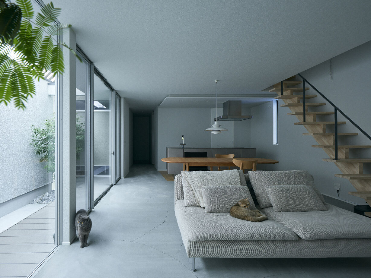 KADeL 【大阪府/間取り有】ミニマルを追求した非日常空間。室内と庭が緩やかに繋がる「猫と暮らす家」の建築実例画像2