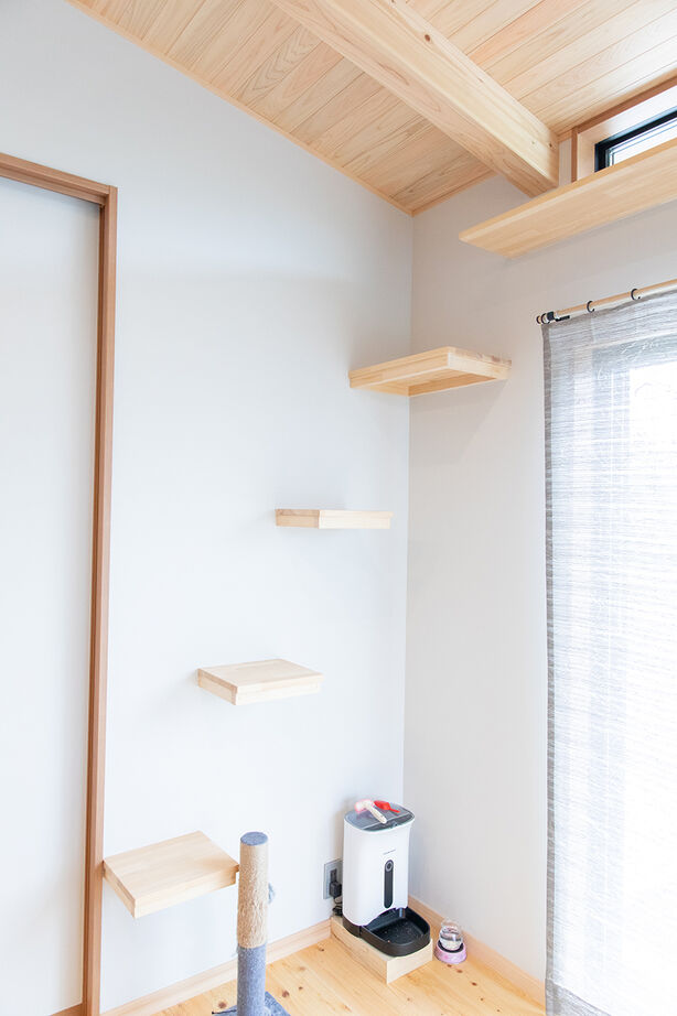 紀州国土建設 【大阪府/2000万円台/平屋】板張り天井と造作家具が映える、猫と暮らす癒しの住まいの建築実例画像7