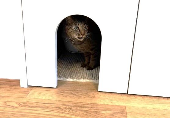 東宝ホーム 【猫がよろこぶ家/吹抜け/家事ラク/33坪台/3LDK】一年を通して快適な温度環境の住まいの建築実例画像7