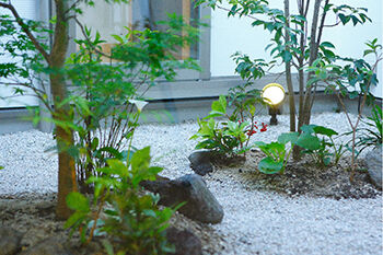 みぞえ住宅 【平屋／中庭／吹抜けのあるLDK】木の香りに取り囲まれて、スクスク育つ子どもたちの建築実例画像5