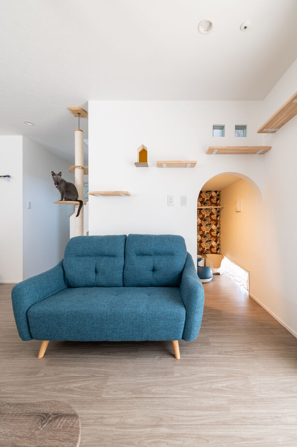 赤野住宅工房の建築実例画像