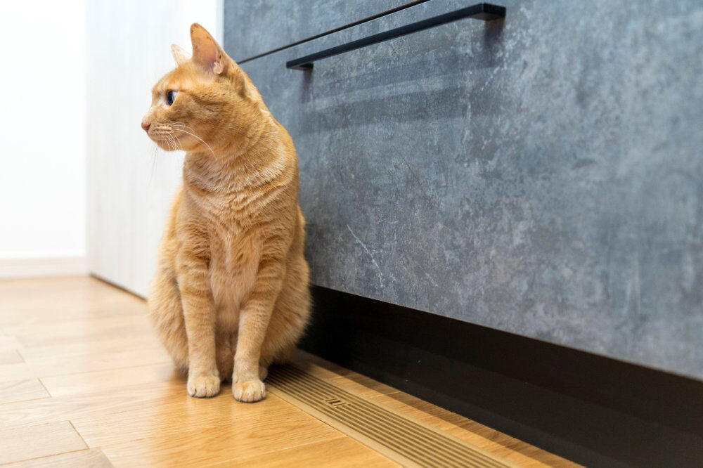 高勝の家 【大崎市｜間取り図有｜二世帯】ゾーニングで家族みんなが快適。便利な家事動線で洗濯が効率的にの建築実例画像8