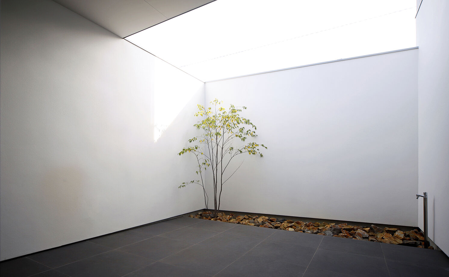 kisetsu 【愛知県｜２階建てのコートハウス】プライバシーと開放感、相反する要求を叶えたシンプルなコートハウスの建築実例画像10