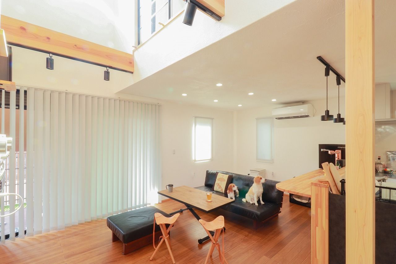 彩ハウス 【26坪】吹き抜けを採用し、開放感に溢れた空間。光溢れるLDKで愛犬と共に暮らしを楽しむ住まいの建築実例画像4