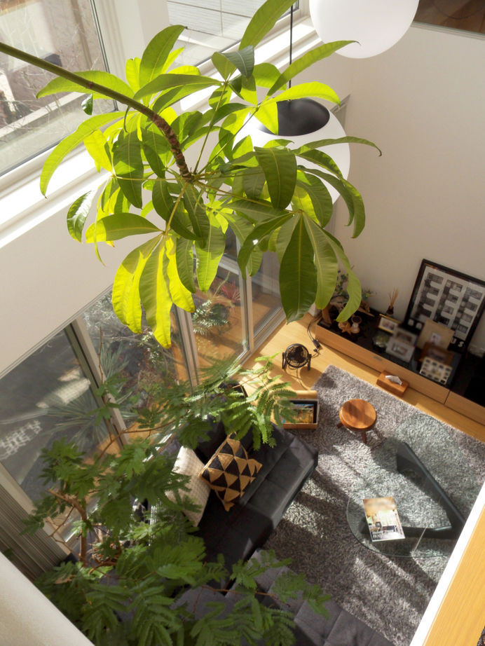 積水ハウス 【3階建て/重量鉄骨造/間取り有】ダイナミックな吹き抜けが見どころの、つながりを大切にした大空間の家の建築実例画像8